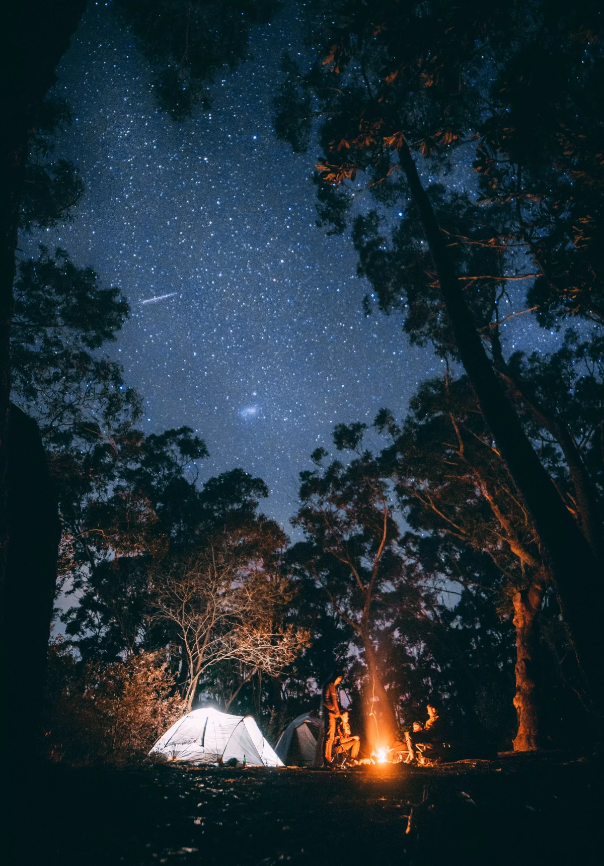 family camping fire